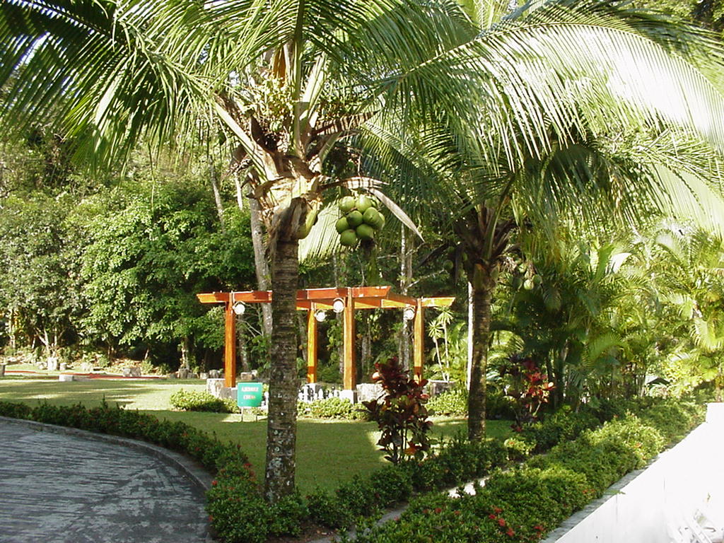 Costa Rica Project Photo